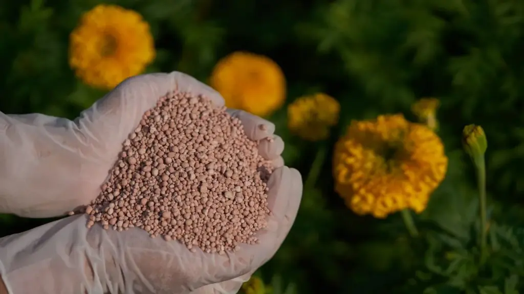 Concime per piante e fiori. Ferramenta Ceolin Sacile